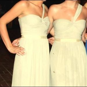 BCBG MaxAzria Nude Beige Dress, 0